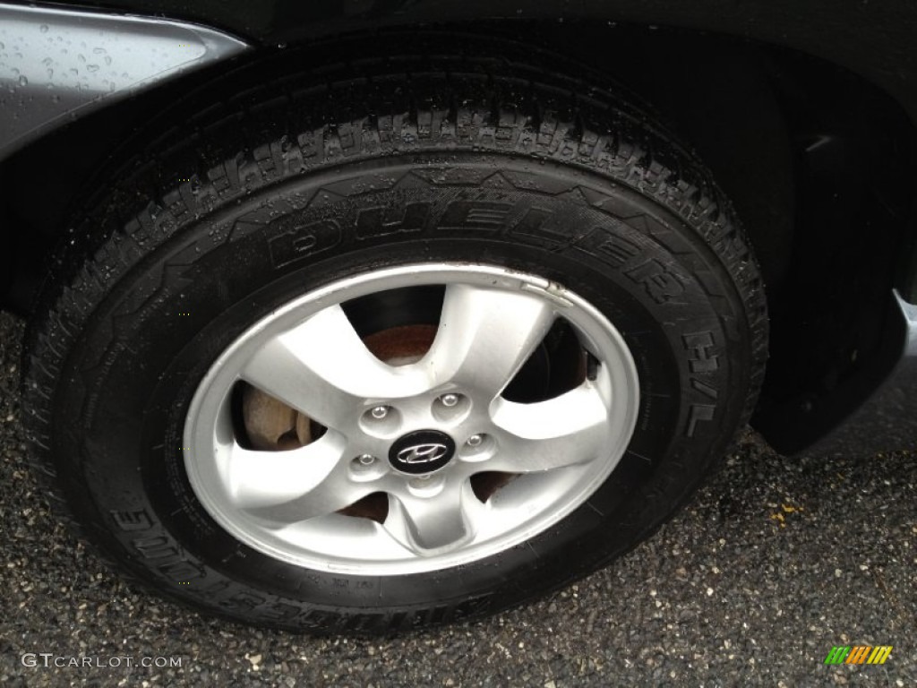 2006 Hyundai Santa Fe Limited Wheel Photos
