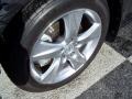 Graphite Luster Metallic - TSX Sedan Photo No. 8