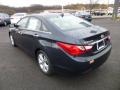 2013 Pacific Blue Pearl Hyundai Sonata Limited  photo #5