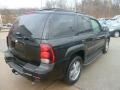 Black - TrailBlazer LS 4x4 Photo No. 3