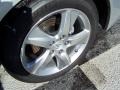 Silver Moon - TSX Sedan Photo No. 5