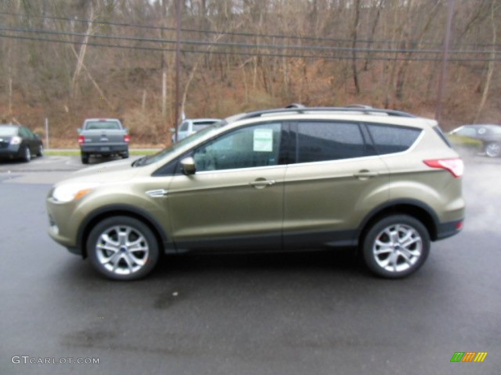 Ginger Ale Metallic 2013 Ford Escape SE 2.0L EcoBoost Exterior Photo #74897023