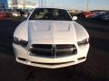 Ivory Pearl - Charger SE Photo No. 2