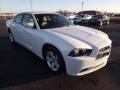Ivory Pearl - Charger SE Photo No. 3
