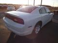 Ivory Pearl - Charger SE Photo No. 5