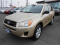 Sandy Beach Metallic - RAV4 V6 4WD Photo No. 3