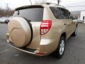 Sandy Beach Metallic - RAV4 V6 4WD Photo No. 7