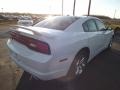 Ivory Pearl - Charger SXT Photo No. 5