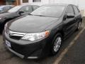 Magnetic Gray Metallic - Camry LE Photo No. 2