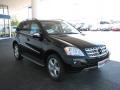 Black - ML 350 BlueTEC 4Matic Photo No. 1
