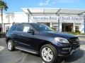 2013 Lunar Blue Metallic Mercedes-Benz ML 350 4Matic  photo #1