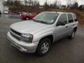 Silverstone Metallic - TrailBlazer LS 4x4 Photo No. 3