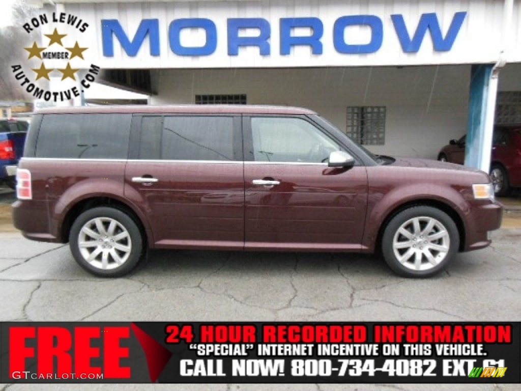 Cinnamon Metallic Ford Flex