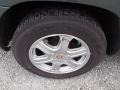 2004 Chrysler Pacifica AWD Wheel and Tire Photo