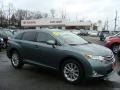 Aloe Green Metallic - Venza I4 Photo No. 1
