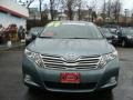 Aloe Green Metallic - Venza I4 Photo No. 2