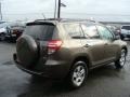 Pyrite Metallic - RAV4 I4 4WD Photo No. 4