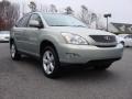Bamboo Green Pearl - RX 350 AWD Photo No. 1