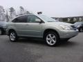 Bamboo Green Pearl - RX 350 AWD Photo No. 2