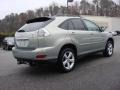 Bamboo Green Pearl - RX 350 AWD Photo No. 4