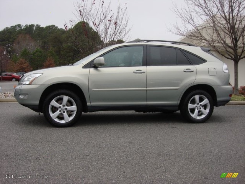 Bamboo Green Pearl 2007 Lexus RX 350 AWD Exterior Photo #74937002