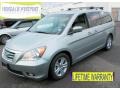 Nimbus Gray Metallic - Odyssey Touring Photo No. 1