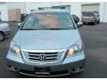 Nimbus Gray Metallic - Odyssey Touring Photo No. 2