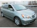 Nimbus Gray Metallic - Odyssey Touring Photo No. 3