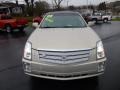 Gold Mist - SRX V6 Photo No. 2