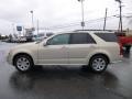 Gold Mist - SRX V6 Photo No. 4