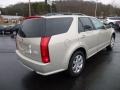 Gold Mist - SRX V6 Photo No. 7
