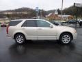 Gold Mist - SRX V6 Photo No. 8
