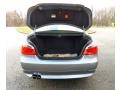 Beige Trunk Photo for 2007 BMW 5 Series #74952531