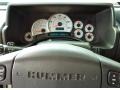 Wheat Gauges Photo for 2003 Hummer H2 #74953234