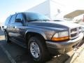Graphite Metallic - Durango SLT Photo No. 4