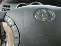 Titanium Metallic - 4Runner Limited 4x4 Photo No. 23