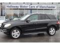Black - ML 350 4Matic Photo No. 1