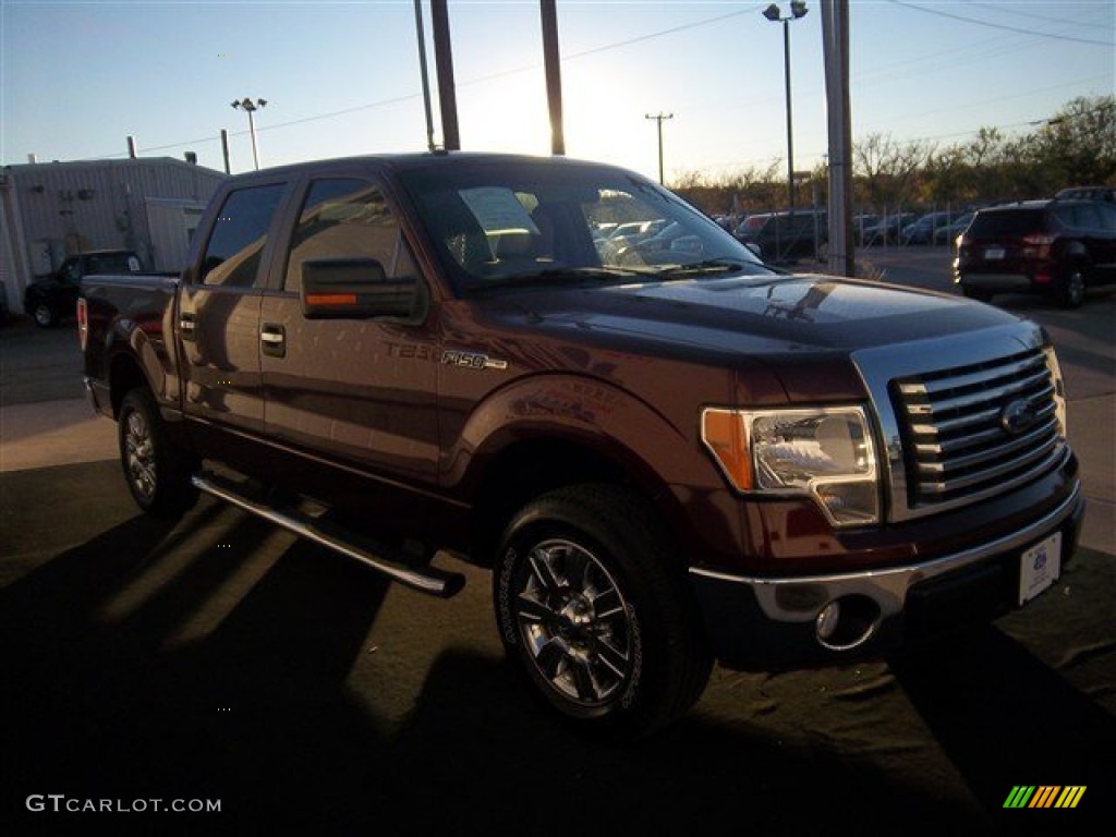 2010 F150 XLT SuperCrew - Royal Red Metallic / Medium Stone photo #3