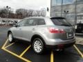 2010 Liquid Silver Metallic Mazda CX-9 Touring AWD  photo #5