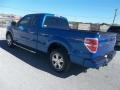 2010 Blue Flame Metallic Ford F150 STX SuperCab  photo #5