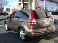 2010 Urban Titanium Metallic Honda CR-V EX-L AWD  photo #4