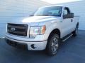 Ingot Silver Metallic 2013 Ford F150 STX Regular Cab Exterior