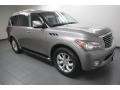 Platinum Graphite - QX 56 Photo No. 8