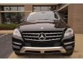 Black - ML 350 4Matic Photo No. 2