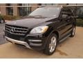 Black - ML 350 4Matic Photo No. 3