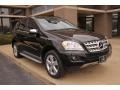 Black - ML 350 4Matic Photo No. 1