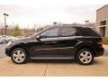Black - ML 350 4Matic Photo No. 4