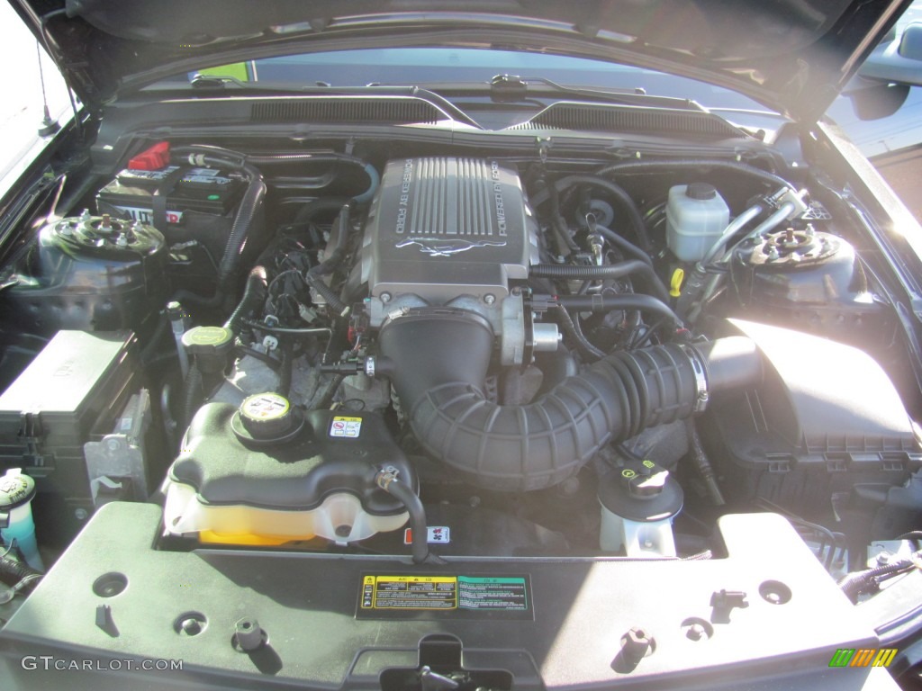 2007 Mustang GT/CS California Special Coupe - Black / Black/Dove Accent photo #12