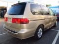 Mesa Beige Metallic - Odyssey EX Photo No. 3