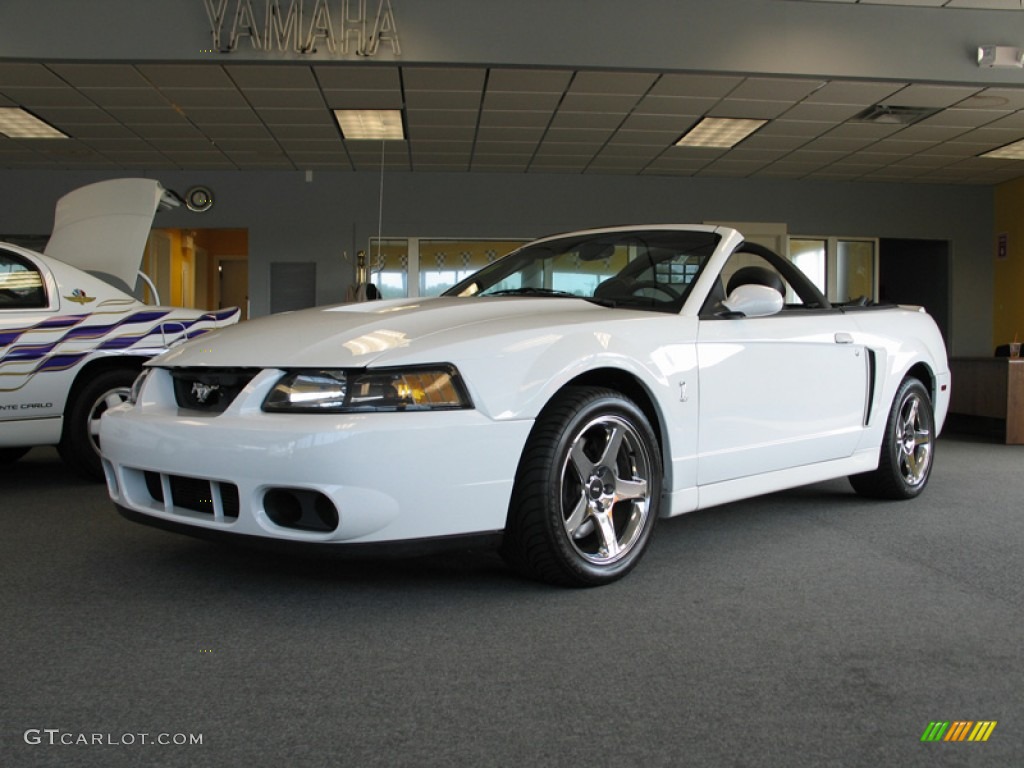 Oxford White 2004 Ford Mustang Cobra Convertible Exterior Photo #74984516